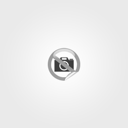 ENG-454-Internship